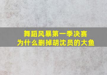 舞蹈风暴第一季决赛 为什么删掉胡沈员的大鱼